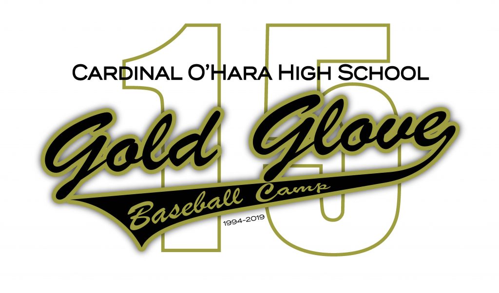 News Gold Glove Baseball Camp